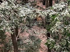 -浙江自然博物院(杭州馆)