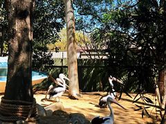 -费瑟代尔野生动物园