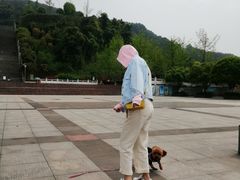 -铁山坪森林公园