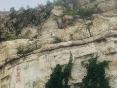 -仙蘑洞
