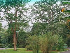-中国科学院西双版纳热带植物园
