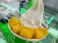 -Salud撒露欧洲冻酸奶(五道口购物中心店)