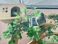 -青藏高原野生动物园