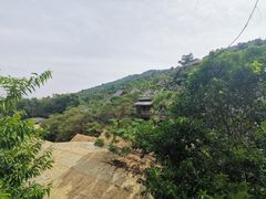 -海南槟榔谷黎苗文化旅游区