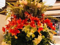 -盘锦红海温泉乐园
