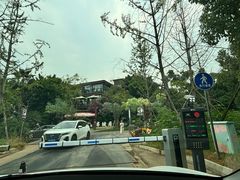 -三圣花乡旅游区