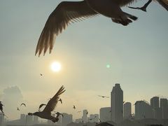 -星海广场