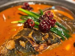 -秀儿四九城·新京菜(亚运村鸟巢店)