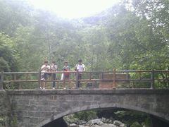 android_upload_pic-陕西省红河谷森林公园