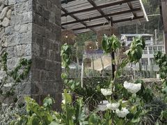 -MOJ coffee(瓯海泽雅水碓坑店)