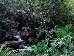 -广州兰圃