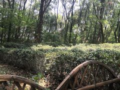 -灵岩山风景区