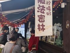 -猫的魔法密林(衣裳街店)