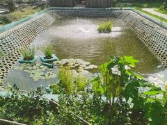 -美家乐农庄·露营·团建(大治路店)