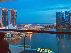 -新加坡文华东方酒店