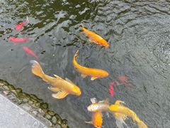 -成飞公园