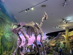 -陕西自然博物馆