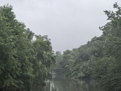 -昆山城市生态森林公园