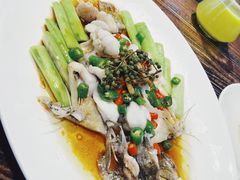 -猪肉婆私房菜(容桂总店)