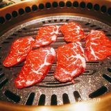 【晓君来了】打开宝箱都是肉！！！！