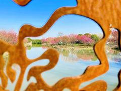 -花开海上生态园