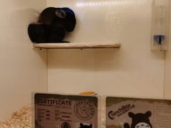 -龙猫仔乐园(惠福东路店)