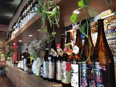 -春草居酒屋·晴子の店