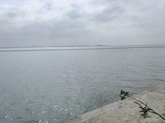 -贡湖湾湿地公园