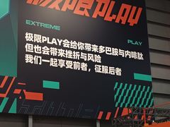 -极限PLAY运动娱乐新世界·团建派对表演休闲馆·室内高空游乐园