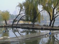 -紫竹院公园冰场