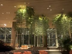 -北京望京凯悦酒店The Lounge大堂酒廊
