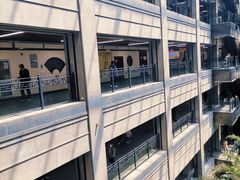 -黑龙江中医药大学附属第一医院