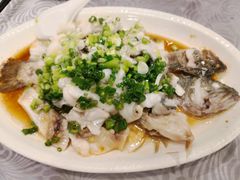 香葱淋鲈鱼-粤·向群饭店(龙津东路总店)