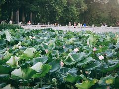 -广西大学(大学东路校区)