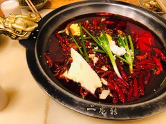 -黄潇洒老火锅(九眼桥宏济巷店)