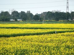 -中国天府农业博览园