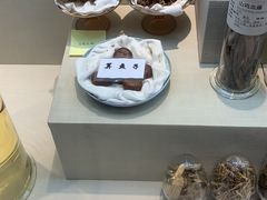 -广东中医药博物馆