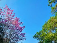 -七仙岭温泉国家森林公园