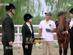 -月河湾马术俱乐部(朝阳店)