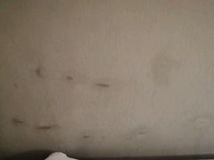 -汕头金乐大酒店