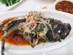 清蒸石斑鱼-南海渔家•海鲜•正宗海南菜(海棠湾店)