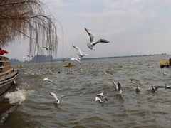-滇池海埂公园