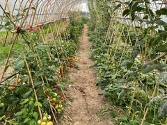 -美家乐农庄·露营·团建(大治路店)