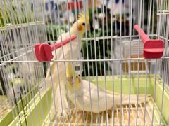 -大润发(东关世茂店)