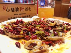 -福苗小骆驼烧烤(莲湖路店)
