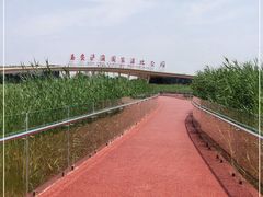 -西安浐灞国家湿地公园