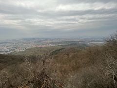 -紫金山山顶公园