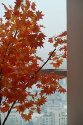 -松和日式美容整骨