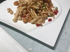 -碧丽宫大酒店(召稼楼店)
