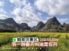 -靖西鹅泉风景区
